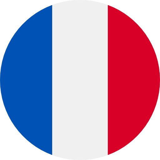 French Indochina flag